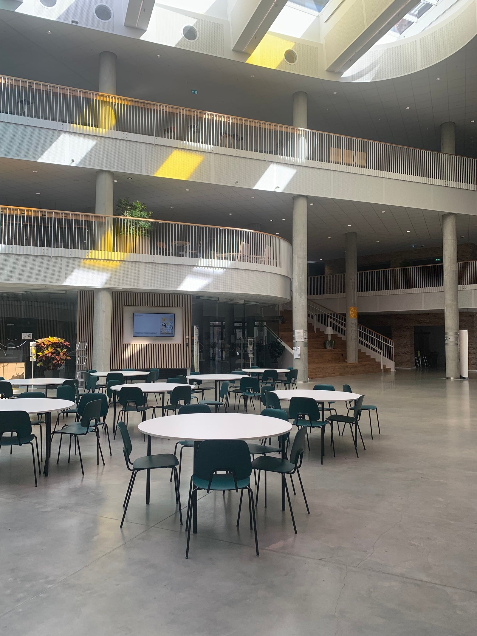 VIA University College and the R.U.M.- Chair: Pioneering Sustainable Practices