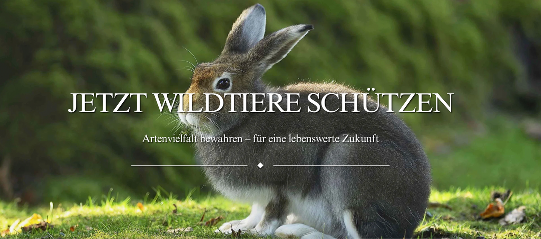 Seating for Conservation: Deutsche Wildtier Stiftung Embraces Circularity with Wehlers R.U.M. Furniture